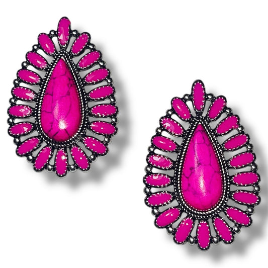 Hot Pink Saddle Up Earrings